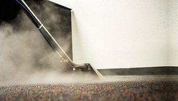 Carpet Cleaning Newcomb